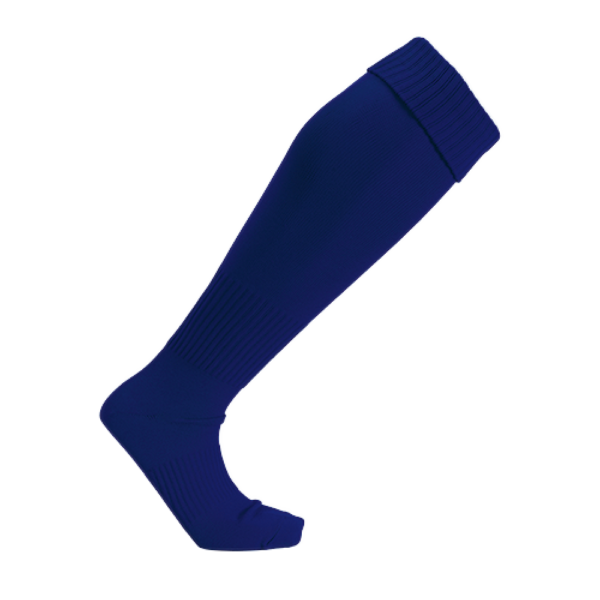 638227832269150630.png WD 專業足球襪