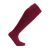638227832287961545.png WD 專業足球襪