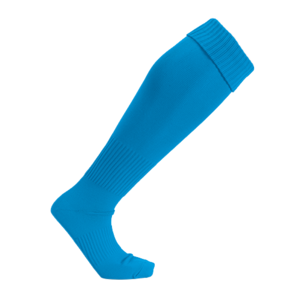 638227839226417227.png WD 專業足球襪