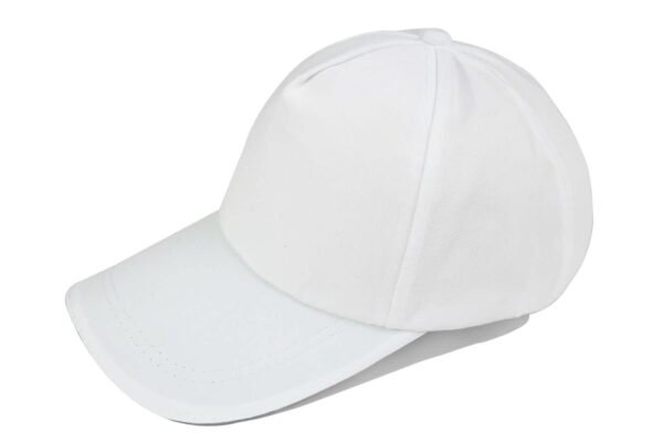 re_CAP-5-______02-1.jpg 五片經典棒球帽(夾三文)