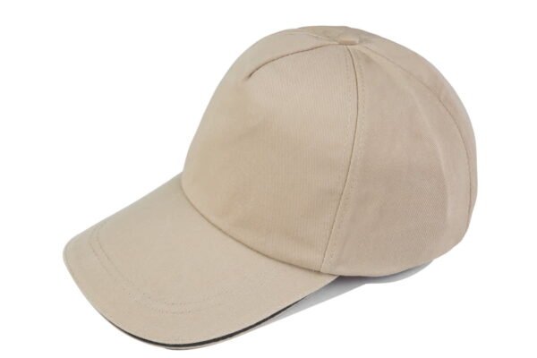 re_CAP-5-_________04-1.jpg 五片經典棒球帽(夾三文)